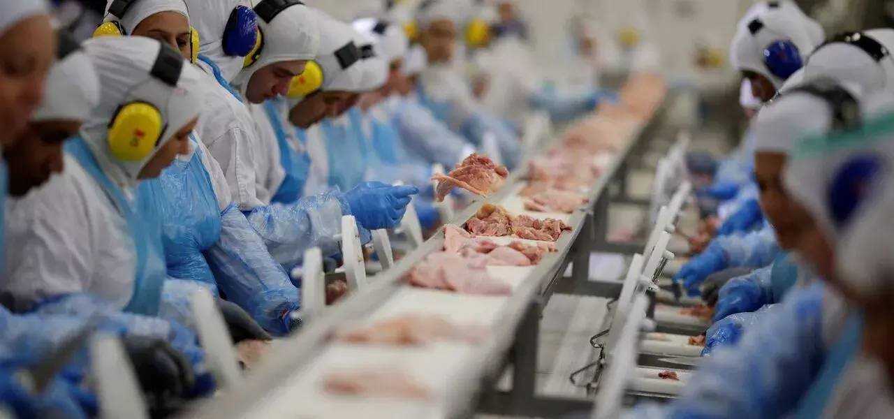 China emite proibição à importação de carne de frango de todo Brasil