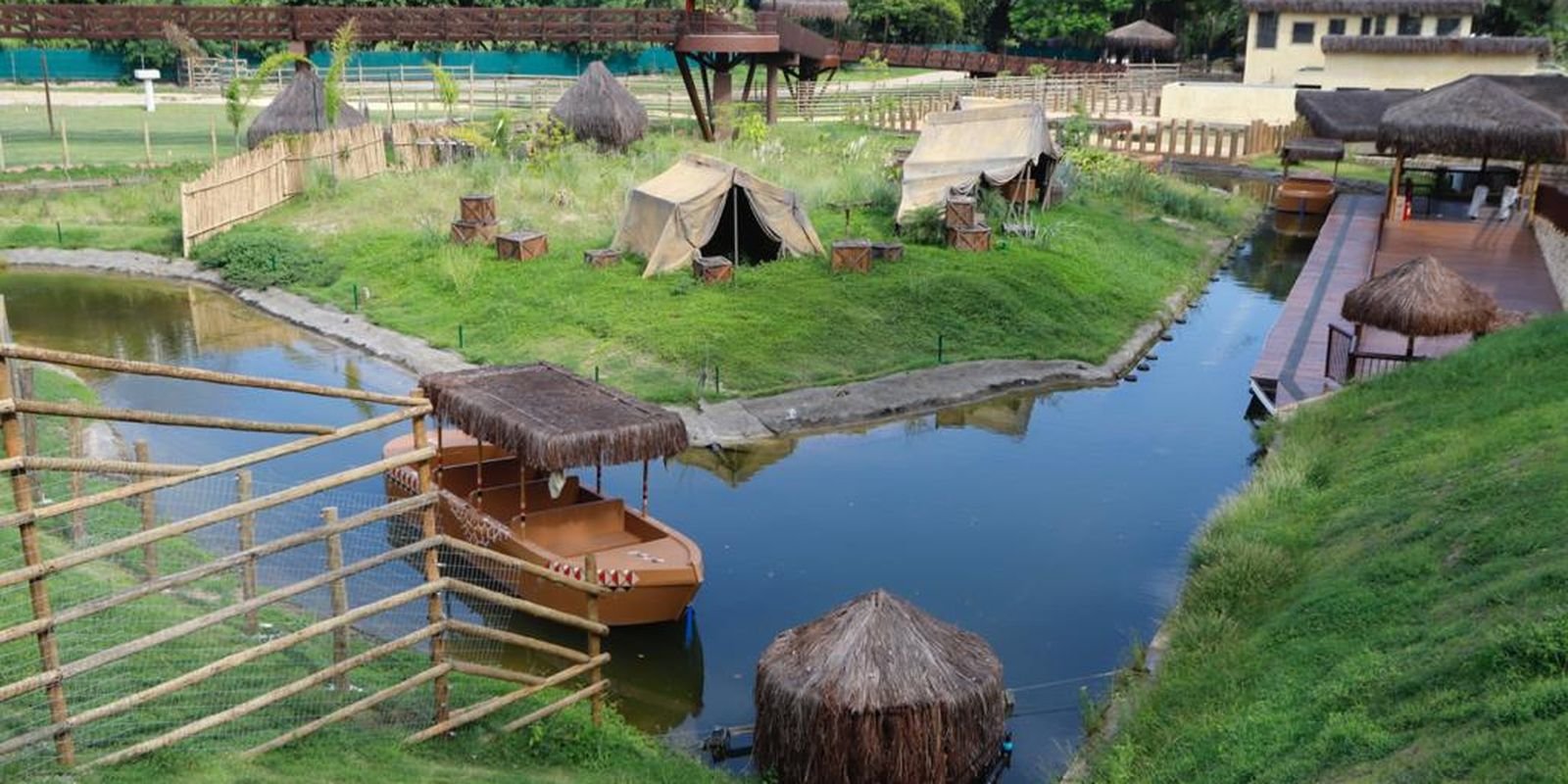 Gripe aviária mata galinhas-d'angola no Rio