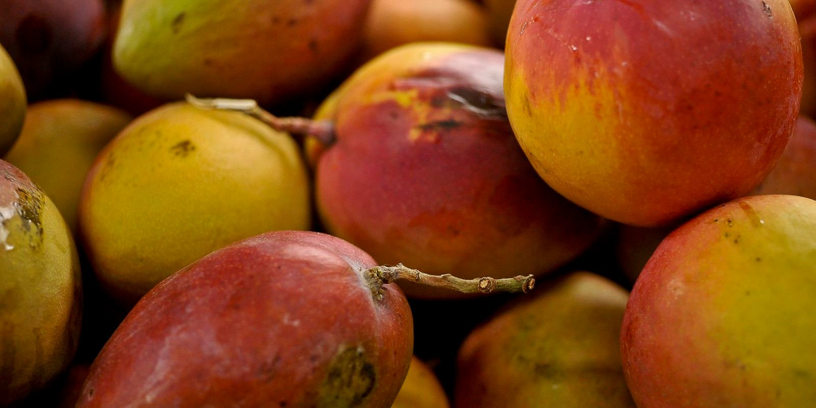 Abrafrutas apoia plano e pede atenção a pequenos produtores