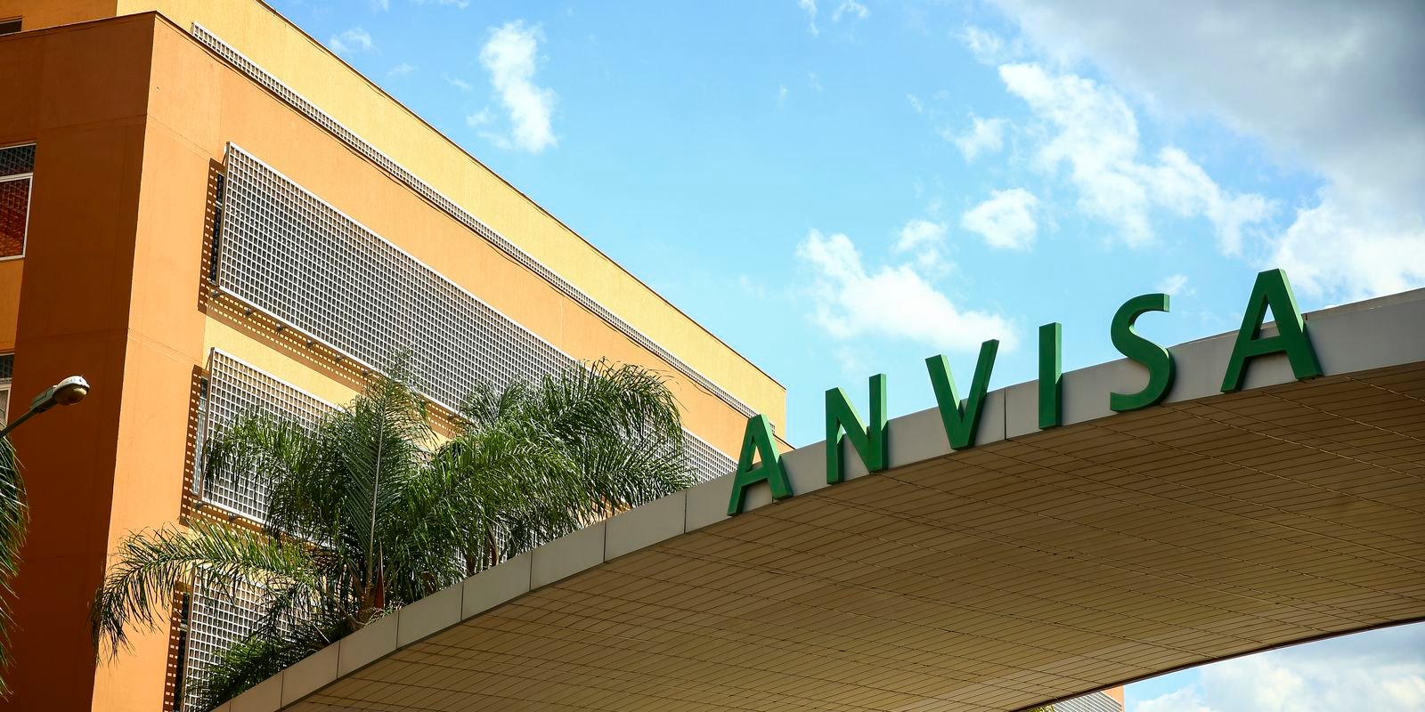 Anvisa aprova medicamento oral para tratar tumores cerebrais