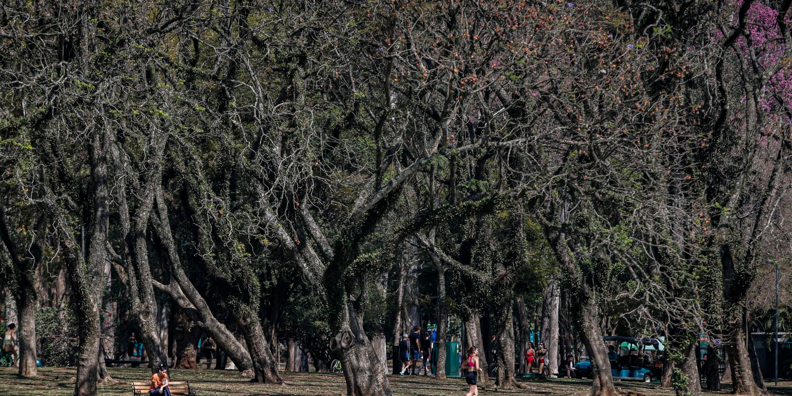 Cidade de São Paulo tem agosto mais seco desde 2020