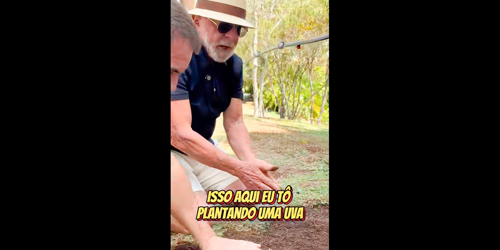 Em vídeo a Trump, Lula planta uva e diz semear comida e não ódio