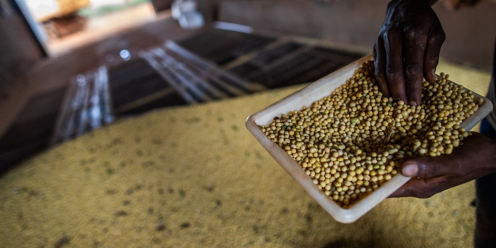 Sorriso, no MT, tem maior PIB agrícola do país; veja o ranking