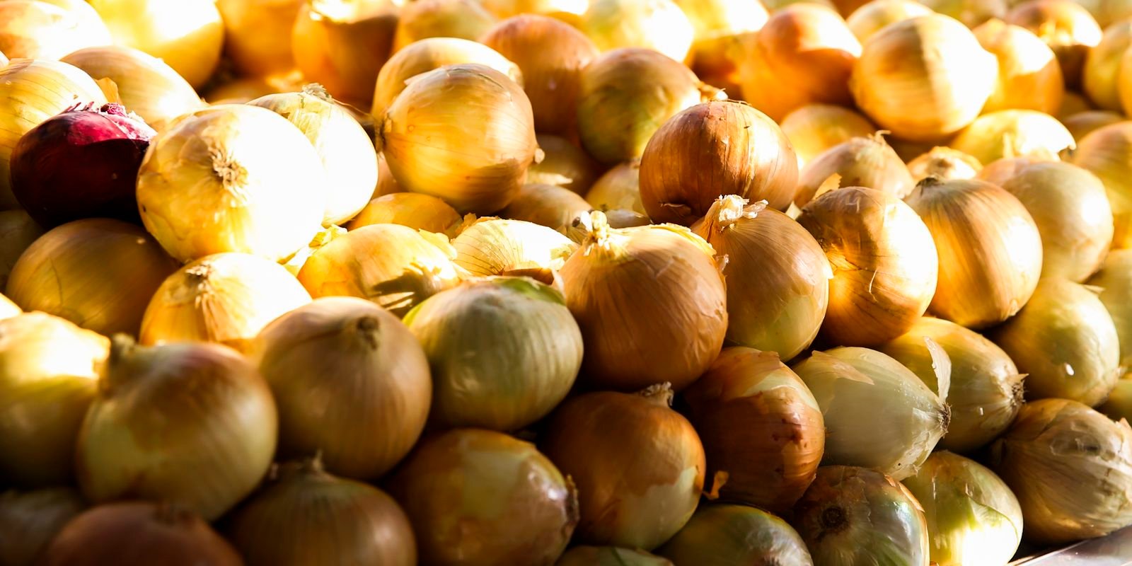 Inflação acumulada dos alimentos é a menor desde setembro de 2024