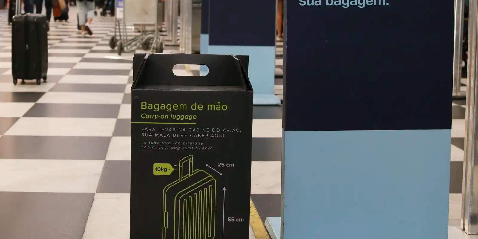 Senado aprova gratuidade para bagagem de mão em vôos