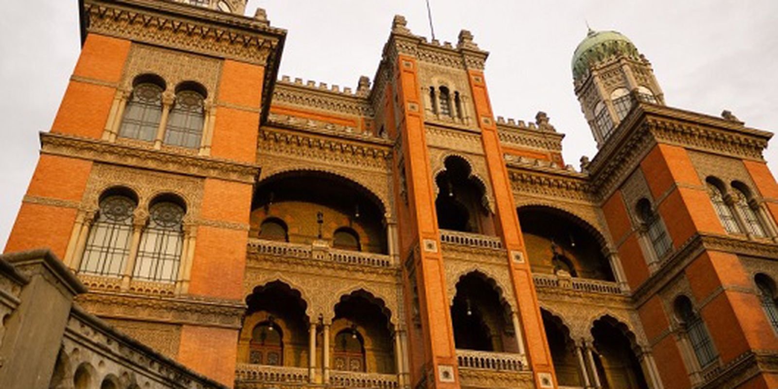 Fiocruz inicia testes em humanos para tratar Atrofia Muscular Espinhal