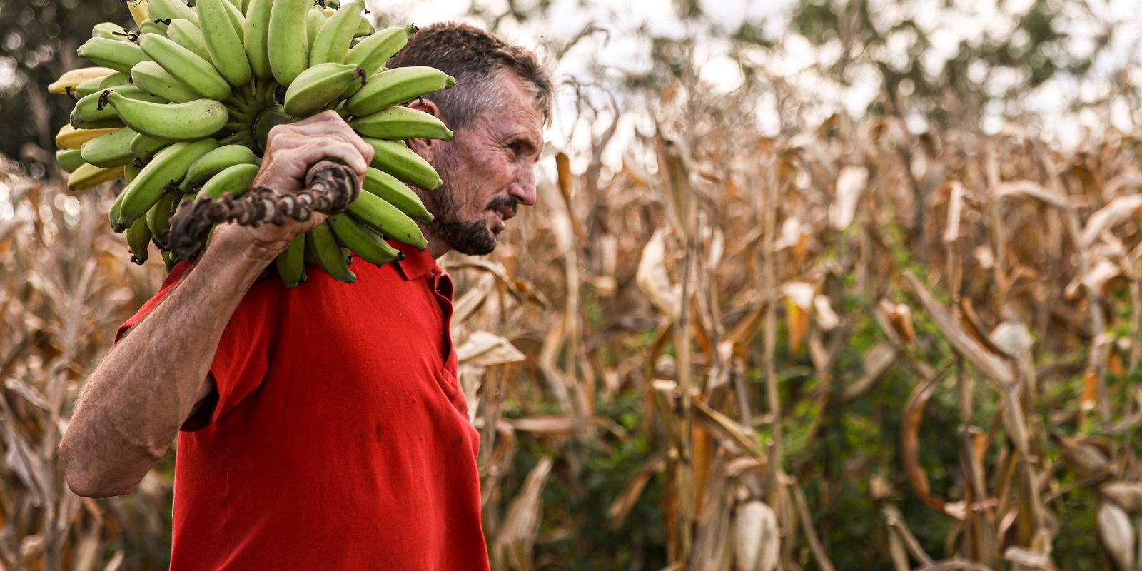 Câmara aprova uso de recursos do FGO em operações do Pronaf