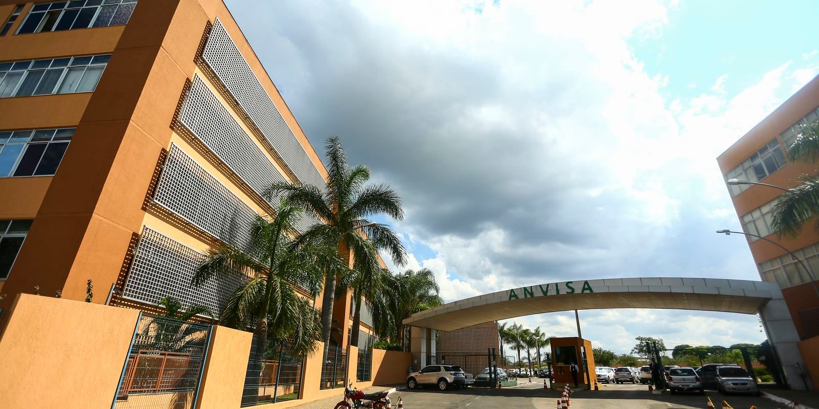 Anvisa aprova tratamento para evitar sangramentos em hemofílicos