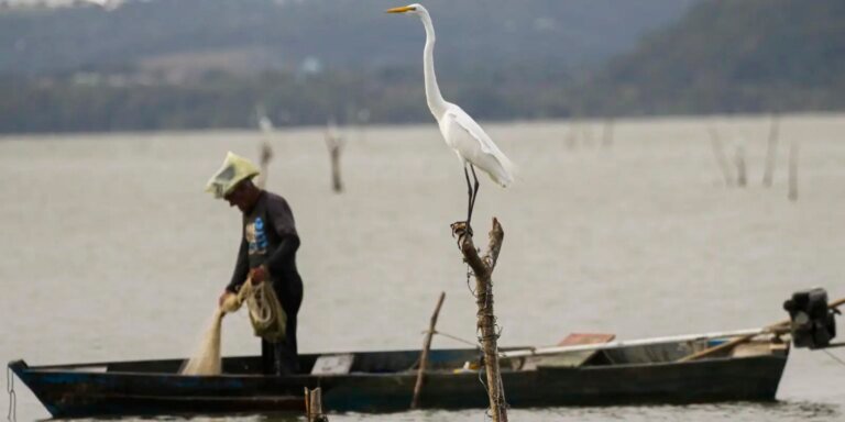 Mudanças aprovadas para o seguro-defeso previnem fraudes, diz relator
