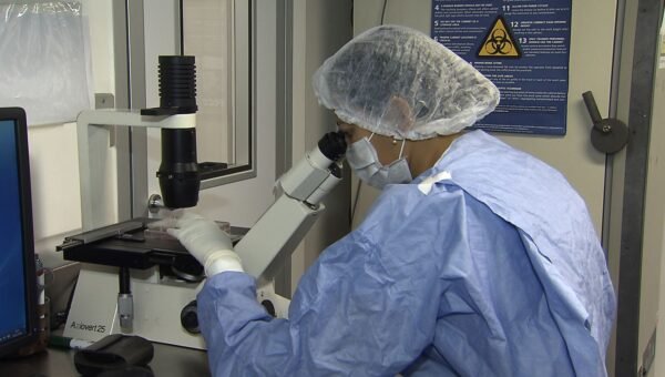 Como cientistas "curaram" infectados com HIV