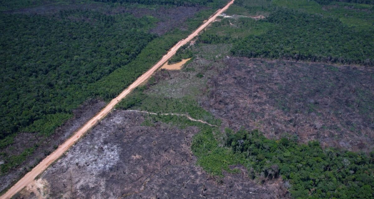 Eco Invest Brasil promove quinto leilão para financiar inovação