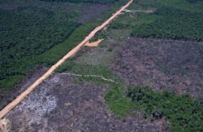 Eco Invest Brasil promove quinto leilão para financiar inovação