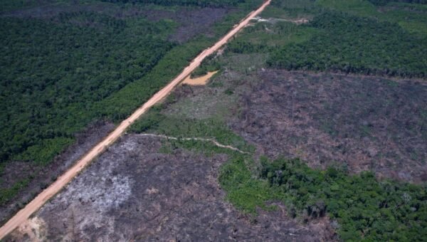 Eco Invest Brasil promove quinto leilão para financiar inovação