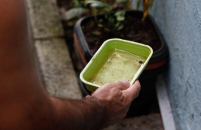 El Niño pode aumentar casos de chikungunya e dengue no Brasil