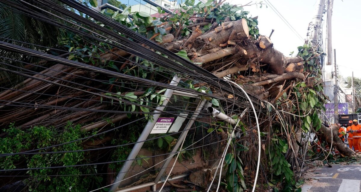 Mais de 200 mil continuam sem energia no Rio após vendaval