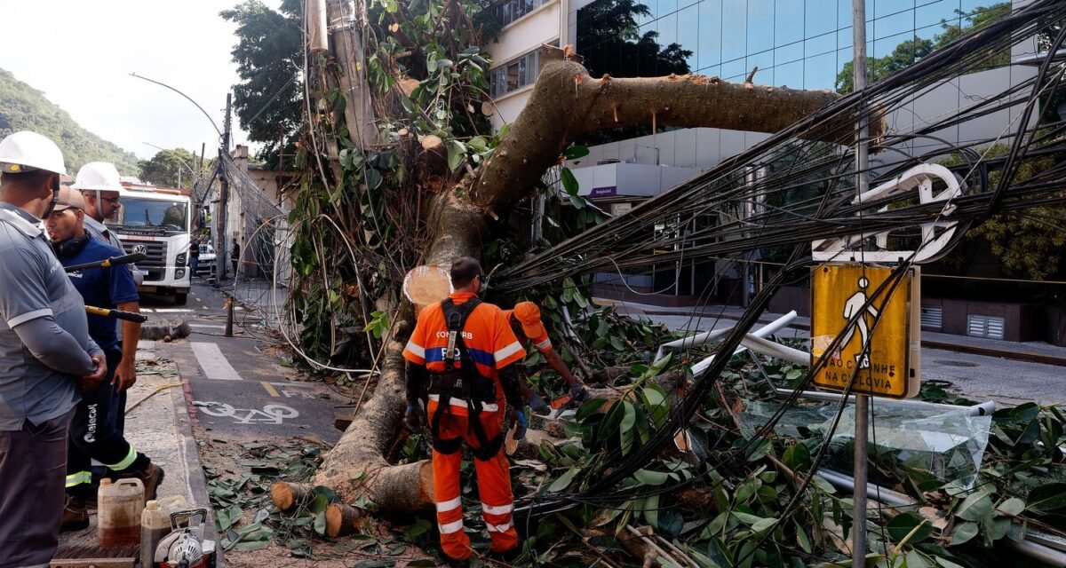 Rede elétrica mais resiliente requer investimento de concessionárias