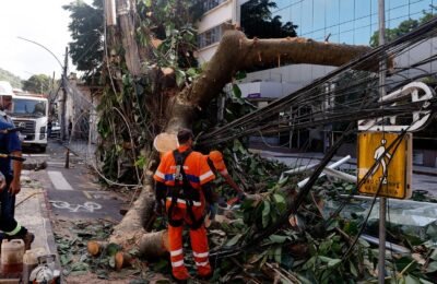 Rede elétrica mais resiliente requer investimento de concessionárias