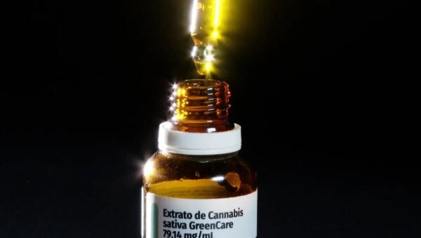 Autorizações para importação de cannabis aumentam 29% em 2026