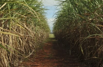 Conselho eleva limite de remuneração do Eco Invest Brasil