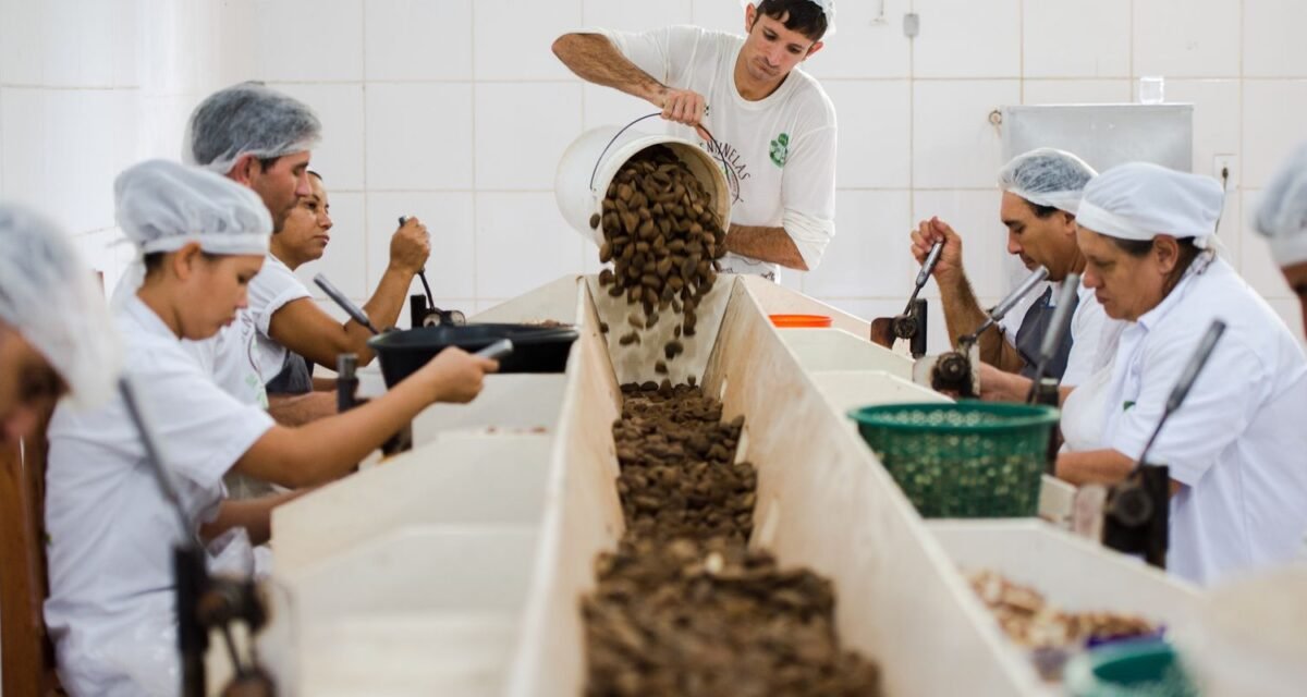 Consulta sobre bens sustentáveis no acordo Mercosul–UE acaba na quarta