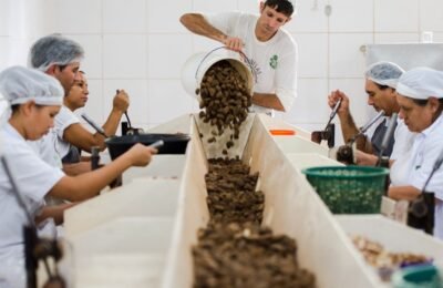Consulta sobre bens sustentáveis no acordo Mercosul–UE acaba na quarta