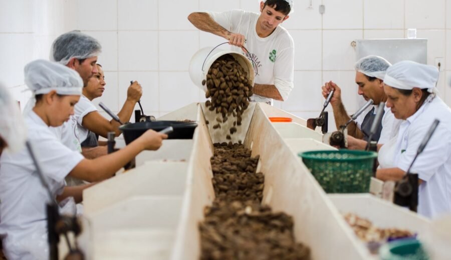 Consulta sobre bens sustentáveis no acordo Mercosul–UE acaba na quarta
