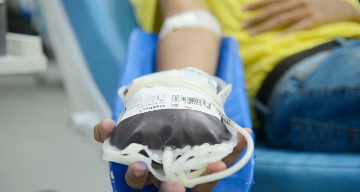 Doação de sangue: espera para quem fez tatuagem e piercing será menor