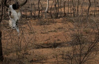 Estiagem: Defesa Civil reconhece emergência em cidades do Nordeste