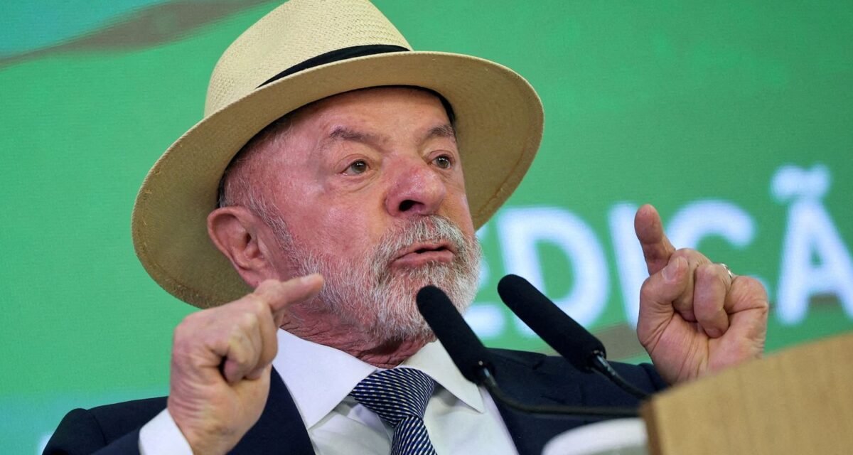 Lula quer mostrar a Trump números de queda do desmatamento na Amazônia