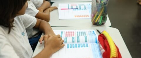 MEC lança diretrizes para ensino de arte na educação básica