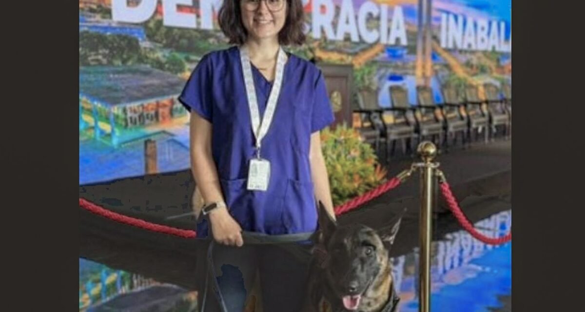 Morre veterinária atacada por cachorro no canil do Senado Federal