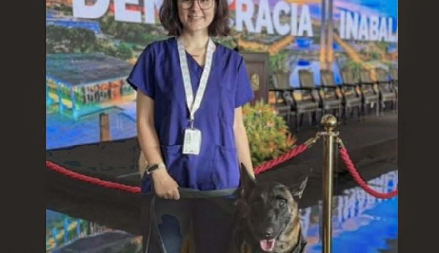 Morre veterinária atacada por cachorro no canil do Senado Federal