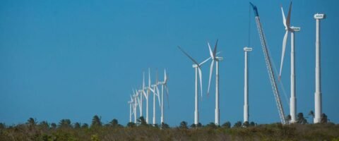 Projeto mapeia caminhos para economia verde no Nordeste