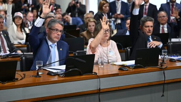 CCJ do Senado aprova texto-base da PEC da Segurança Pública