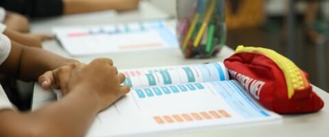 Censo Escolar 2026: dados da 1ª etapa podem ser conferidos até dia 11