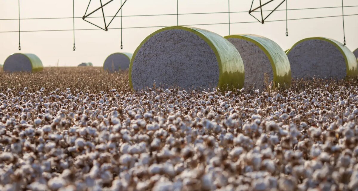 Entenda mudança no mapa que tirou Sorriso do topo da produção agrícola
