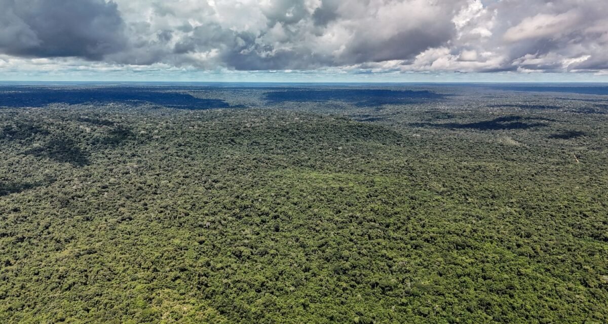 Fazenda autoriza crédito de US$ 1 bilhão do BID para Eco Invest Brasil