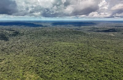 Fazenda autoriza crédito de US$ 1 bilhão do BID para Eco Invest Brasil