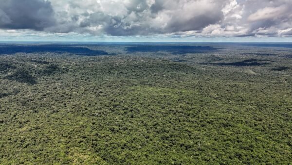 Fazenda autoriza crédito de US$ 1 bilhão do BID para Eco Invest Brasil