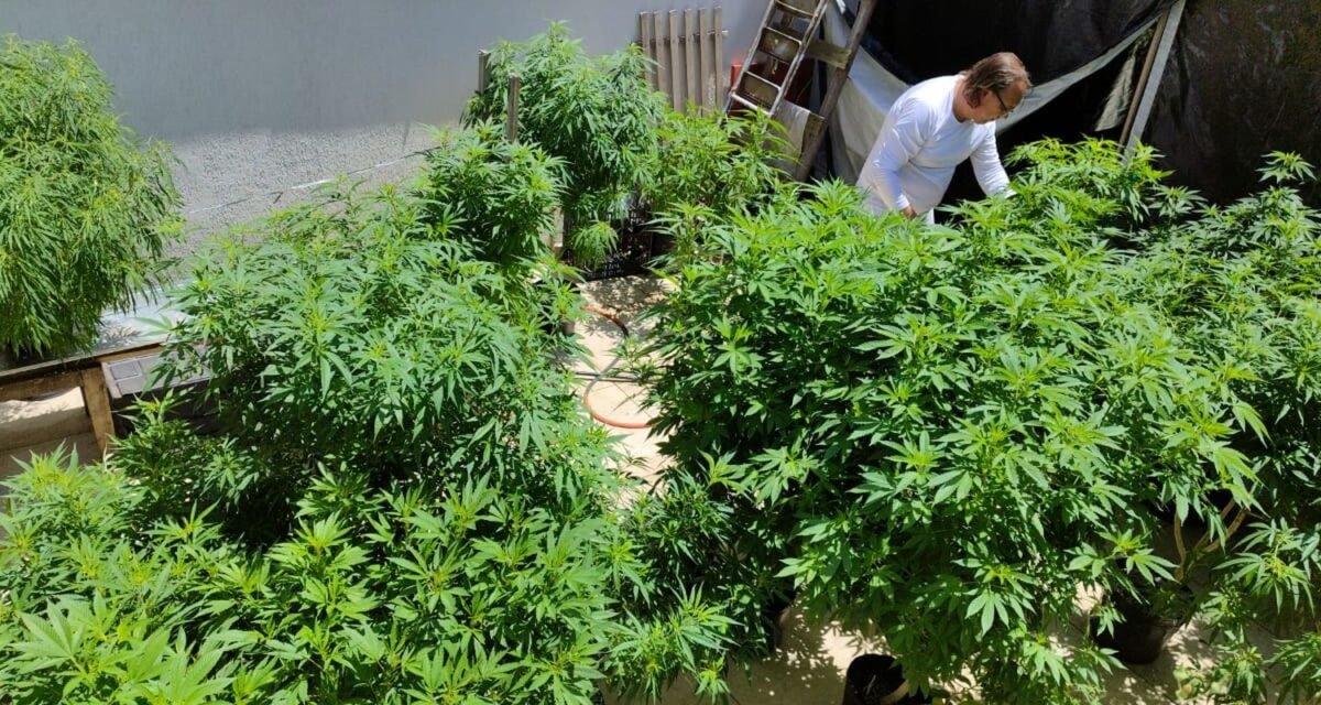 Feira em Fortaleza defende políticas sobre drogas com justiça social