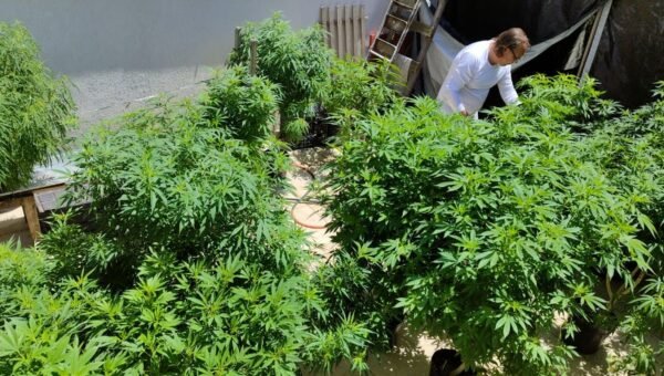 Feira em Fortaleza defende políticas sobre drogas com justiça social