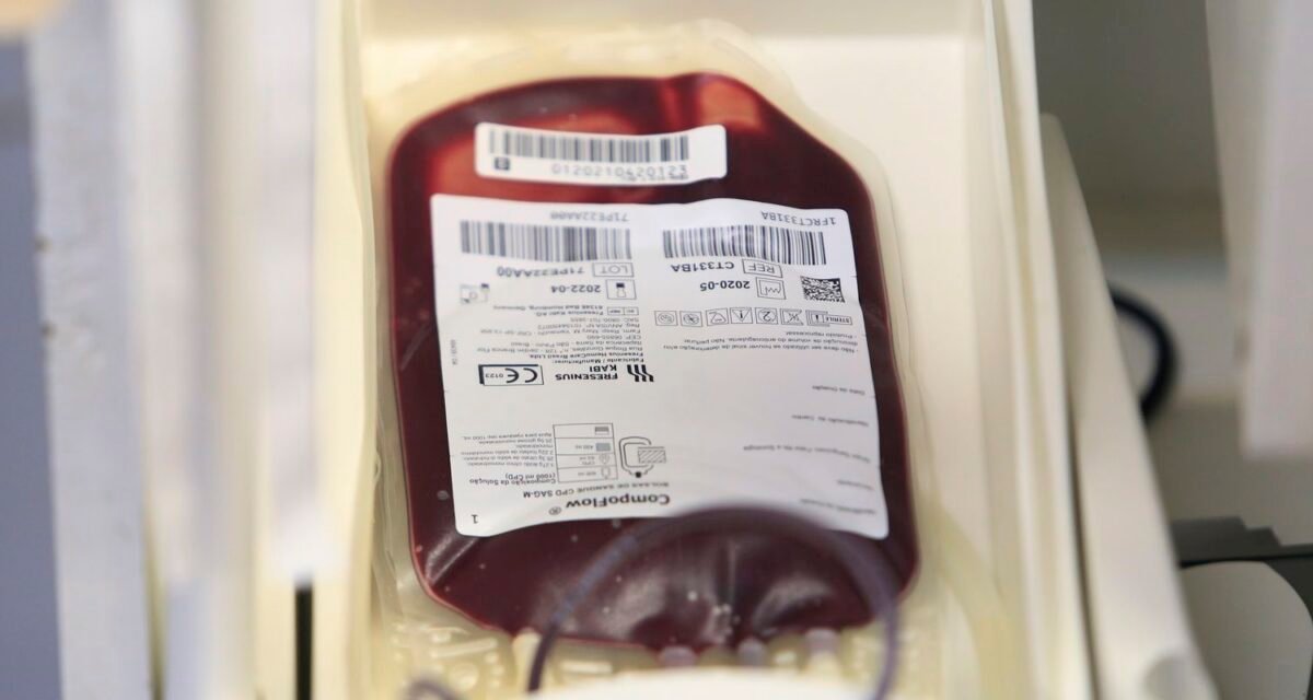 Fundação Pró-Sangue alerta para baixo estoque e faz apelo a doadores
