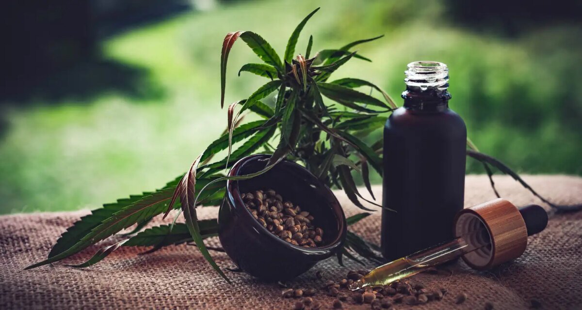 Para associações, normas ainda deixam pontos em aberto sobre cannabis