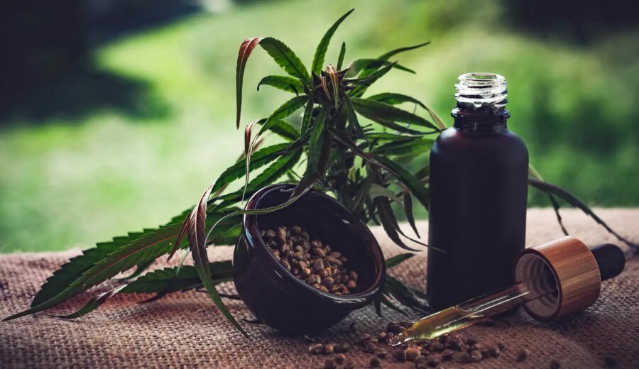Para associações, normas ainda deixam pontos em aberto sobre cannabis
