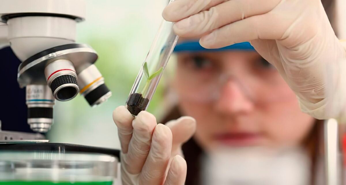 Prêmio para mulheres e meninas cientistas abre inscrições até outubro