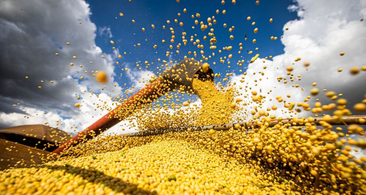 Produção agrícola brasileira superou R$ 927 bilhões em 2025