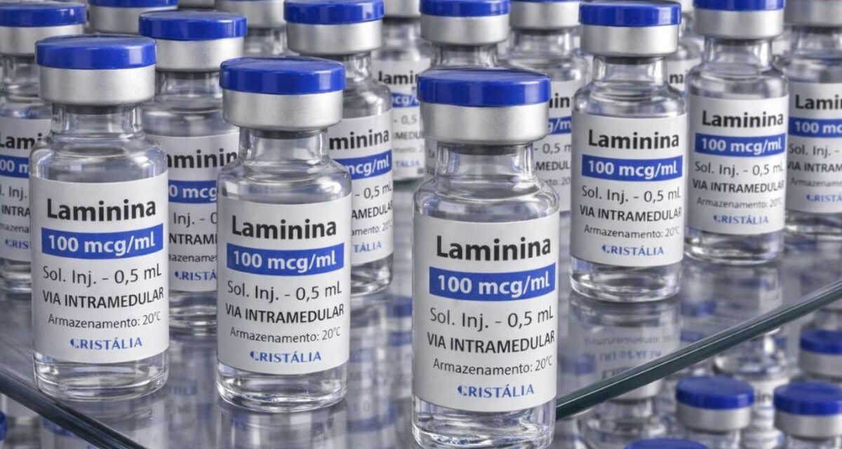 Testes clínicos fase 1 da polilaminina começam este mês