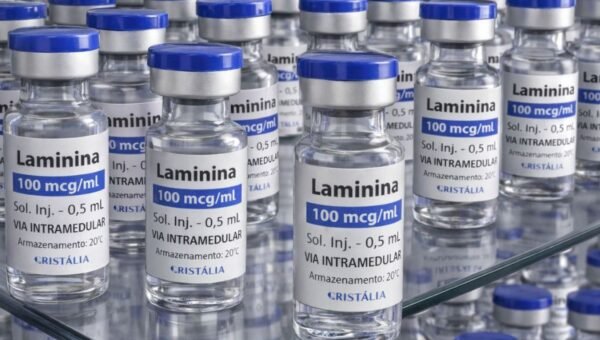 Testes clínicos fase 1 da polilaminina começam este mês