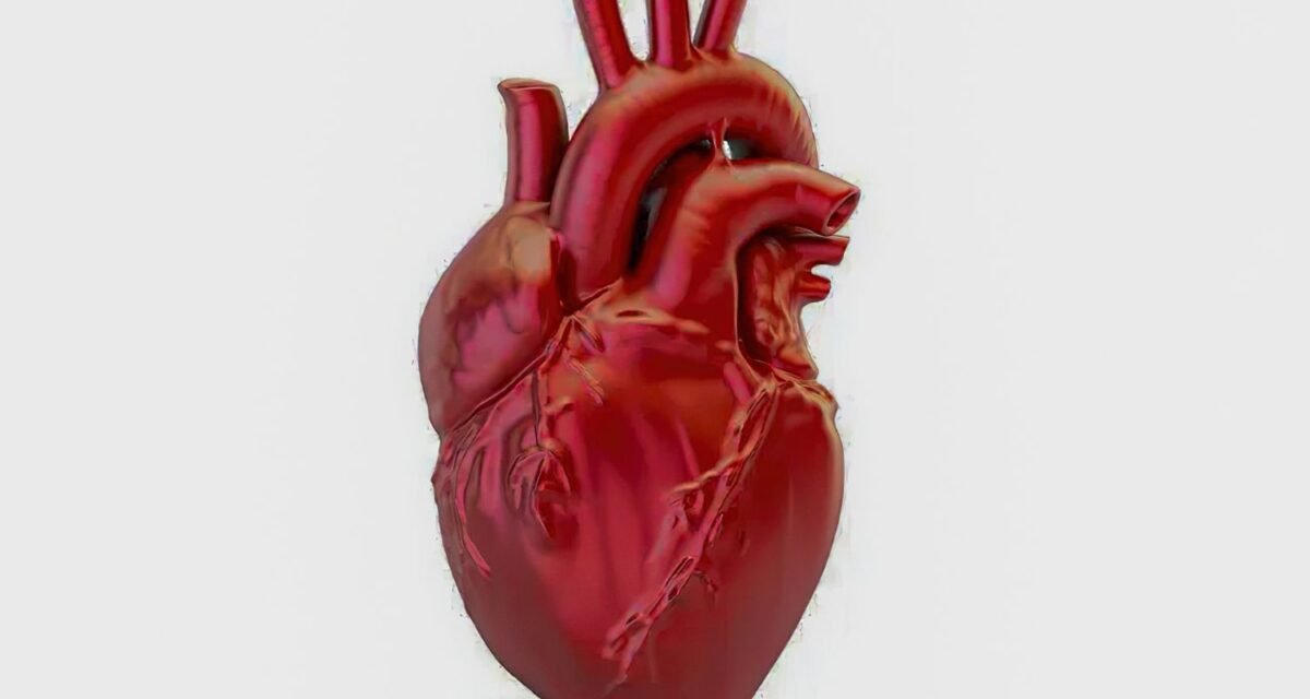 A cada 72 segundos, uma pessoa morre por doença cardiovascular no país