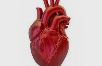 A cada 72 segundos, uma pessoa morre por doença cardiovascular no país
